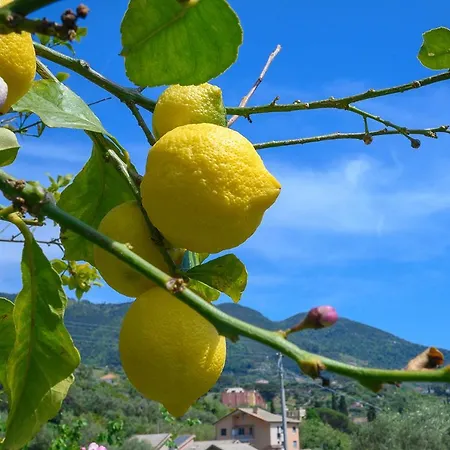Casa Limoni * Monterosso al Mare