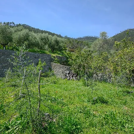Casa Limoni Ferienhaus *